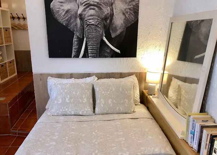 Dom wakacyjny Cala Canyelles Villa & Private Studio With Garden *